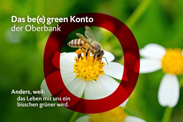 Die Oberbank unterstützt mit dem be(e) green Konto den Schutz der Bienen.