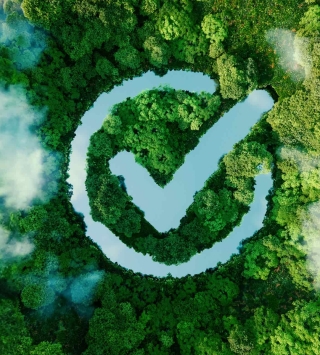 Wald aus der Vogelperspektive