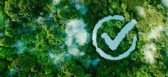 Wald aus Vogelperspektive