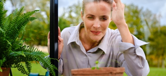 Eine Frau schaut in ein Glashauses auf eine kleine Pflanze in einem Blumentopf