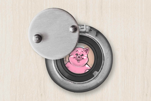 Sparschwein schaut durchs Guckloch