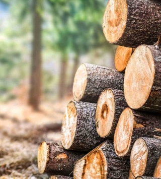 Vorteile Holzbau
