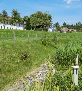 Grüne Wiese mit Vierkanthof im Hintergrund