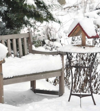 Schneebedeckter Garten