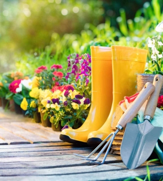 Garten