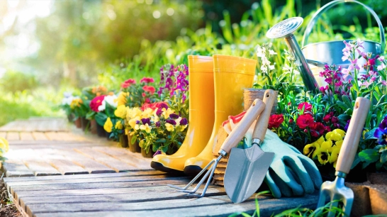 Garten