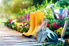 Fotoquelle: iStock