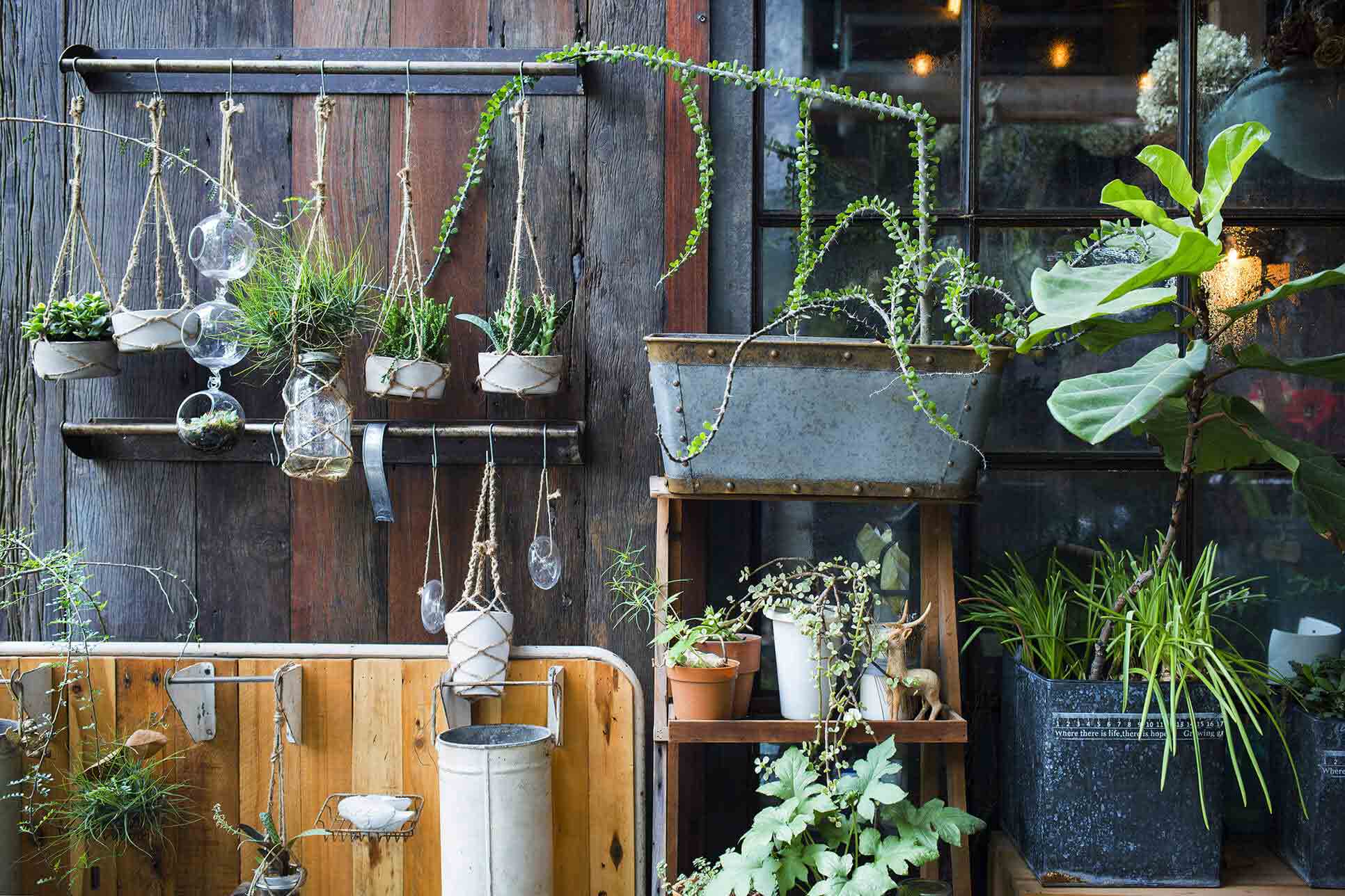 Vertical Gardening