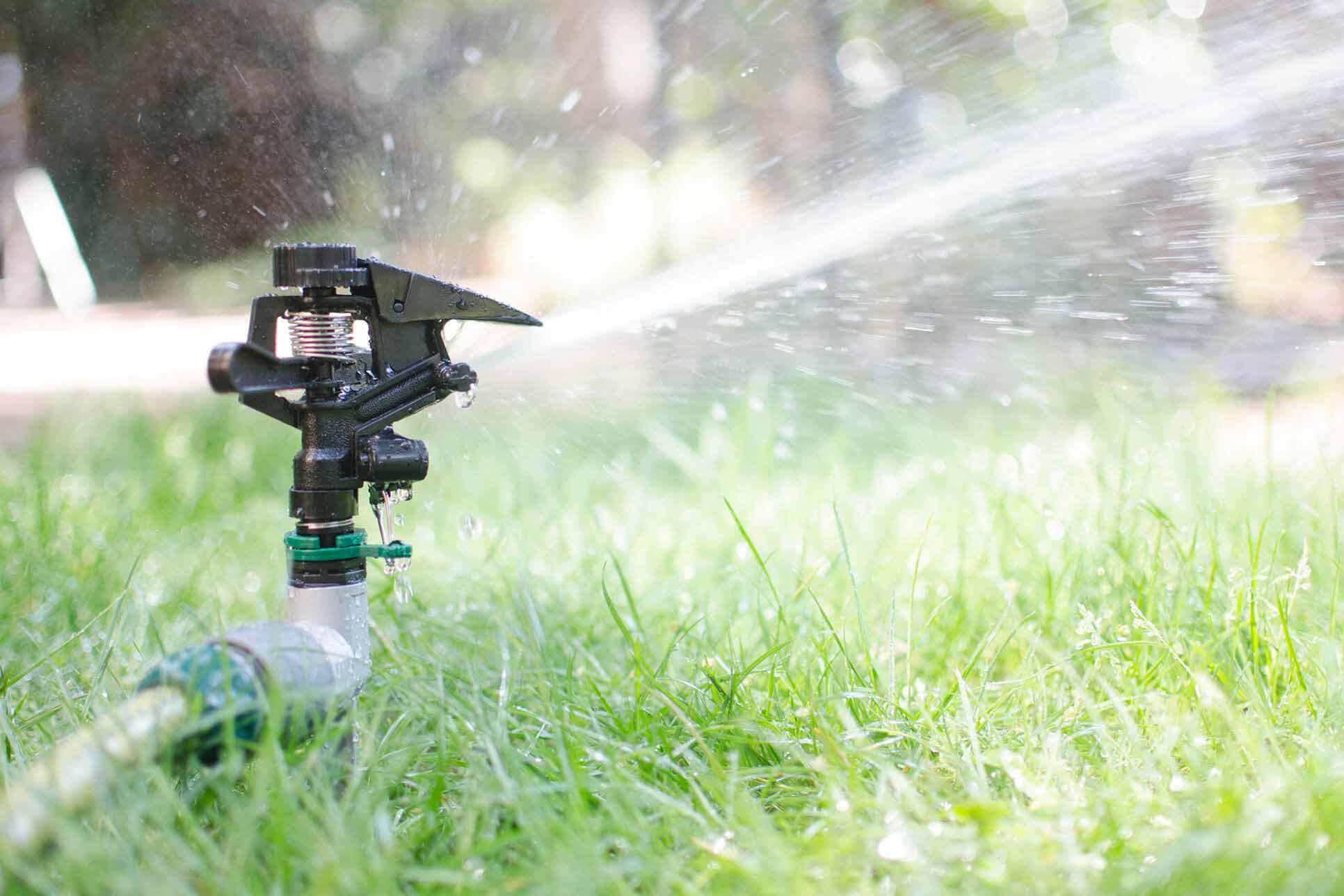 Sprinkler im Garten