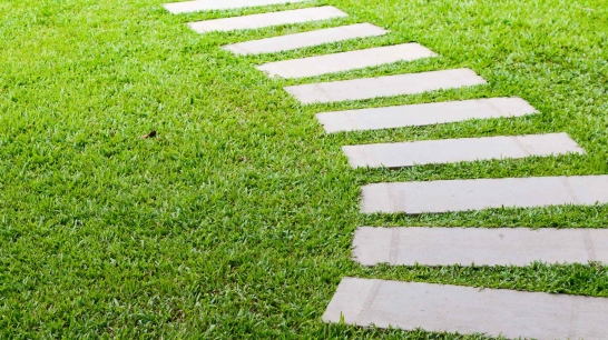 Ein Weg ins Grüne