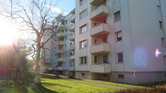 Siedlungshaus mit Grünfläche