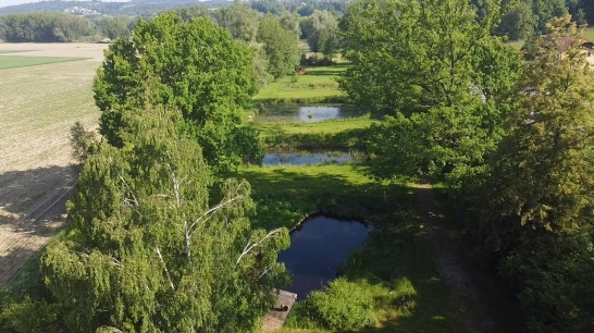 Oberbank Immobilien - Fischteiche
