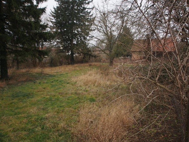 Baugrundstücks mit Abbruchsobjekten Bezirk Tulln