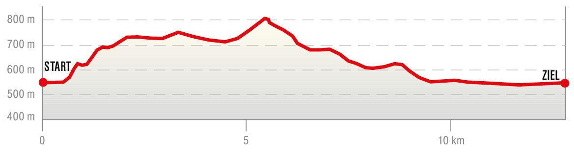 Höhenprofil der Wanderung in St. Wolfgang